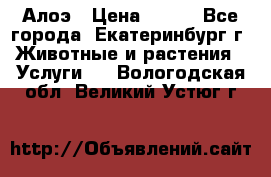 Алоэ › Цена ­ 150 - Все города, Екатеринбург г. Животные и растения » Услуги   . Вологодская обл.,Великий Устюг г.